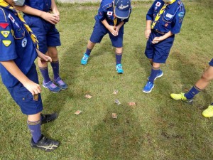 131109235_3548928955154125_5876308938502843108_n