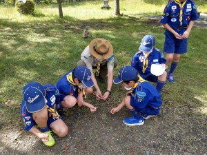 131985979_165289595340261_793706685220856742_n