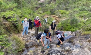 4620693218553865383.a835997fc80f01871e735e936384272e.20092123