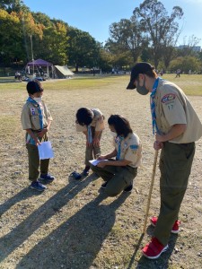 4620693218554761692.08466221820f0cc0b004a1262bf0a9a7.20102712