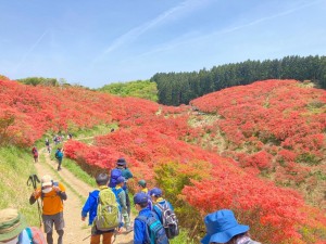 278914813_1946588882191012_4806903944620030129_n